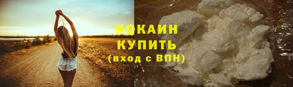 шишки Балабаново