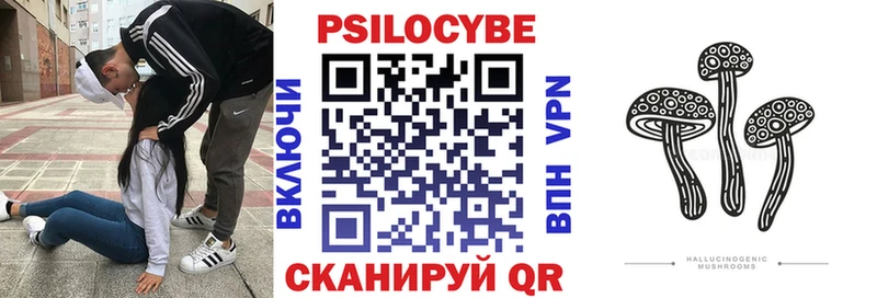 как найти закладки  Отрадное  Галлюциногенные грибы мухоморы 