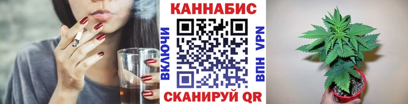 Бошки Шишки планчик  купить наркотик  Отрадное 